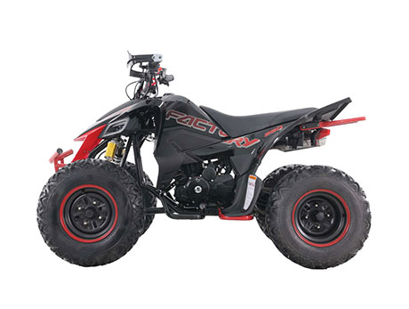 2023 TYPHOON 250